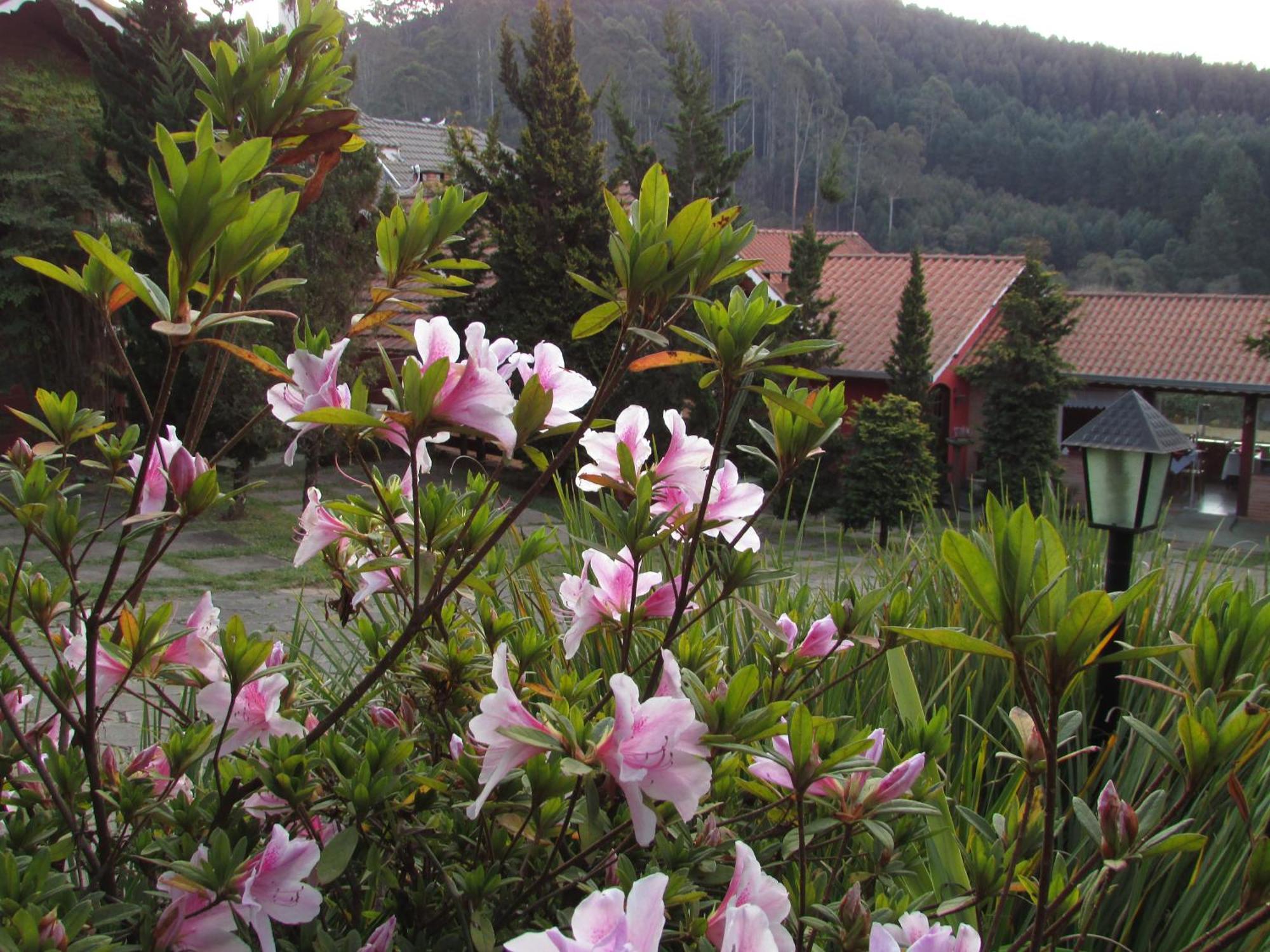Pousada Flores Da Serra Monte Verde  Esterno foto